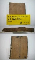 館藏編號:TAIMW000028的藏品圖